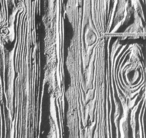 Lignum prägnant – Strukturmatrize Holzstrukturen
